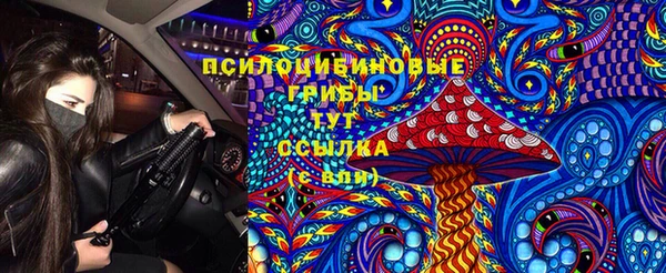 прущие грибы Лагань