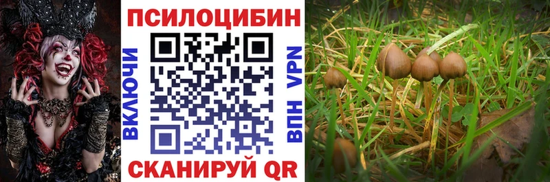 Псилоцибиновые грибы Psilocybine cubensis  цена наркотик  Среднеколымск 
